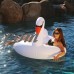 GoFloats Swan Party Tube Inflatable Swimming Pool Raft, Float In Style, for Adults and Kids   556078936